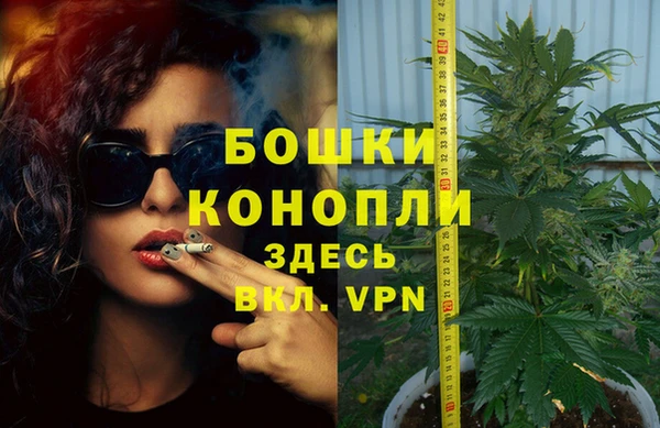 ПСИЛОЦИБИНОВЫЕ ГРИБЫ Медвежьегорск