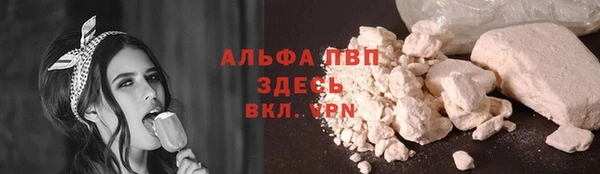 ПСИЛОЦИБИНОВЫЕ ГРИБЫ Медвежьегорск