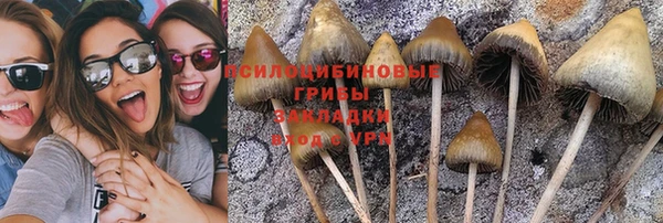 таблы Аша