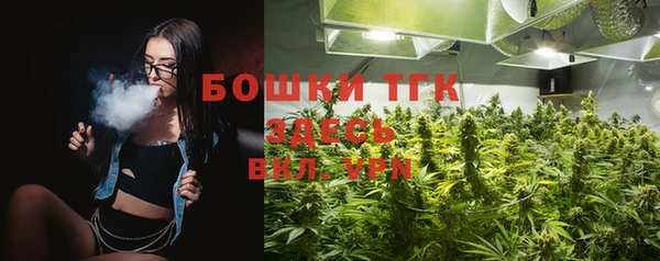ПСИЛОЦИБИНОВЫЕ ГРИБЫ Медвежьегорск