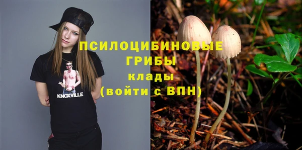 ПСИЛОЦИБИНОВЫЕ ГРИБЫ Медвежьегорск